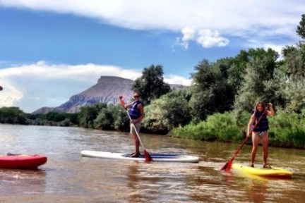 Paddle Boarders